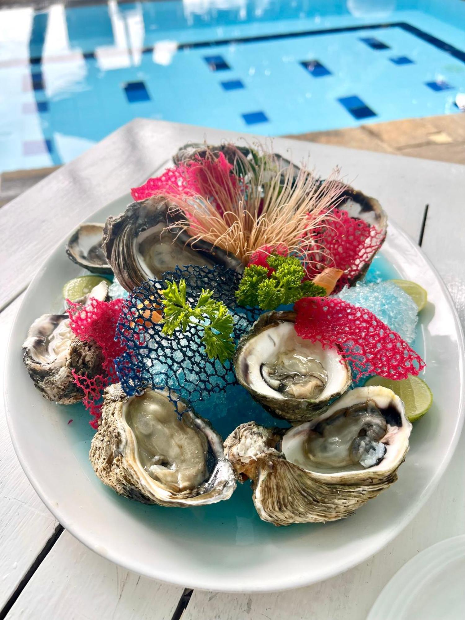 Smeralda Beach Hotel Dikwella Zewnętrze zdjęcie